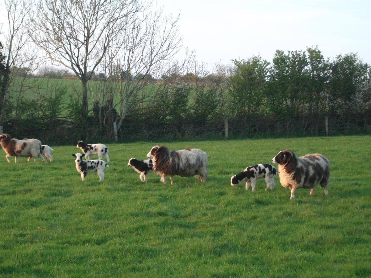 Arthurstown Glendine Country House Wexford מראה חיצוני תמונה