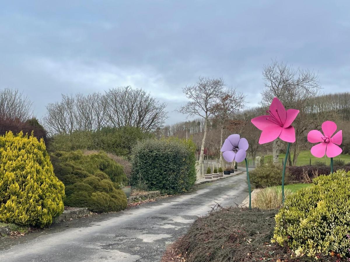 Arthurstown Glendine Country House Wexford מראה חיצוני תמונה